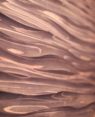 京都市中京区 トリミングサロン ドッグサロンすみれ