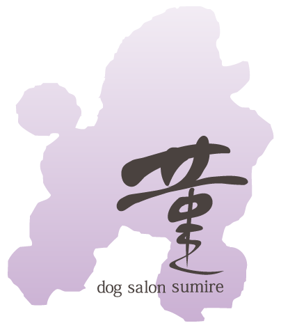 京都市中京区 トリミングサロン ドッグサロンすみれ