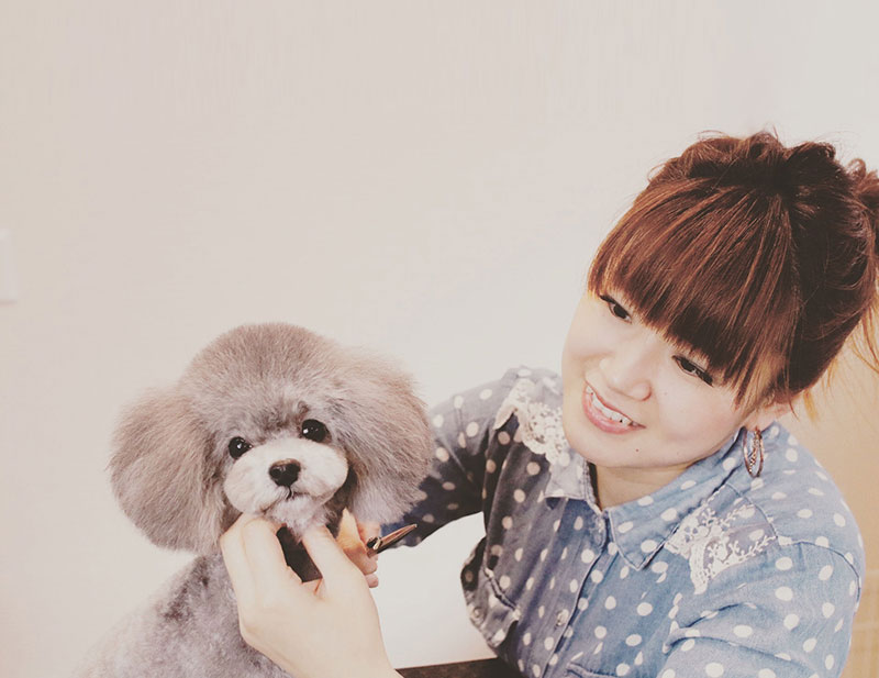 京都市中京区 トリミングサン ドッグサロンすみれ トリマー紹介